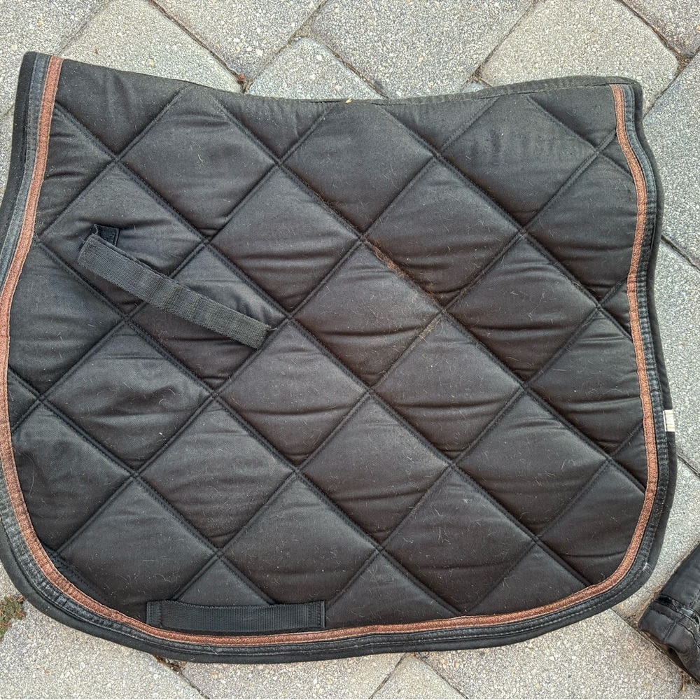 Dressage Black Quilted Saddle Pad with sparkle bronze  Trim